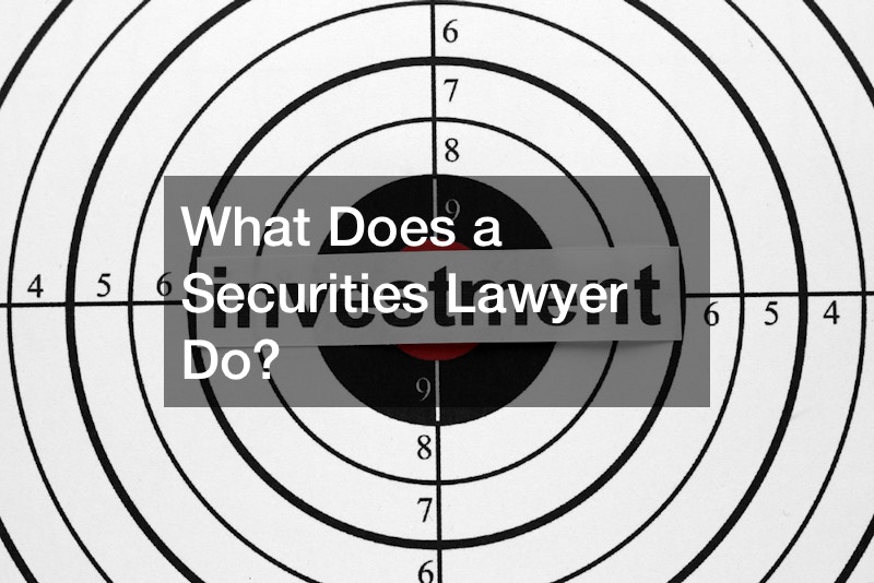 What Does a Securities Lawyer Do?